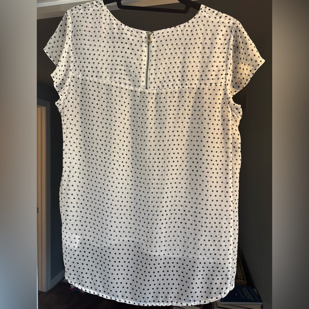 Maison Jules Off-White with Black Polka Dot Sheer Blouse Size Large - Picture 6 of 16